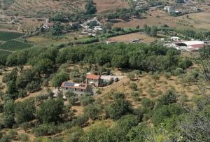 Gallery image of podere la starza in Laureana Cilento