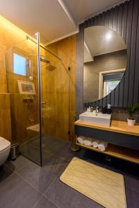 Vonios kambarys apgyvendinimo įstaigoje Vila Time Olimp