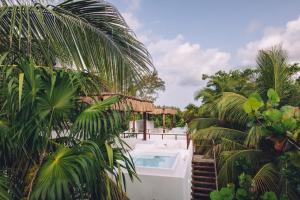 a resort with a swimming pool and some palm trees at Chiringuito Tulum in Tulum