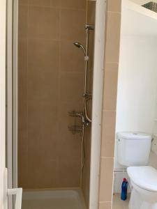 a bathroom with a shower and a toilet at Villa Georges in Le Tréport