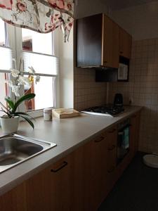 a kitchen with wooden cabinets and a sink and a window at Apartament Leśny in Szczejkowice