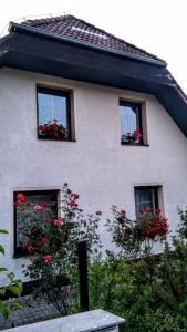 a house with three windows with red flowers at Vila v Podkrušnohoří in Jirkov