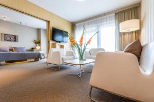 TV a/nebo společenská místnost v ubytování Niebieski Art Hotel & Spa
