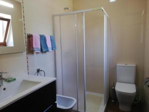 a bathroom with a shower and a sink and a toilet at Casa das Bouças in Viana do Castelo