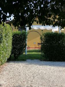 an archway in a garden with a bench behind two bushes at Il Nido in Lucca