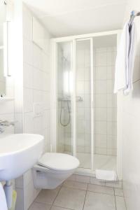 a bathroom with a shower and a toilet and a sink at hotel löwen in Niederuzwil