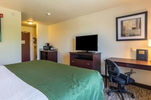 ein Hotelzimmer mit einem Bett, einem Schreibtisch und einem TV in der Unterkunft Cobblestone Inn & Suites - Lakin in Lakin