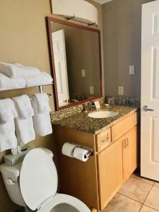 a bathroom with a toilet and a sink and a mirror at Candlewood Suites Harrisburg I-81 Hershey Area by IHG in Harrisburg +51 photos