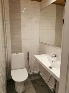 a bathroom with a white toilet and a sink at Sport Hotel Kantri in Kankaanpää