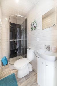 a bathroom with a shower and a toilet and a sink at Domki Kaper Karwia in Karwia