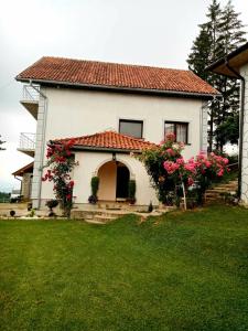 伊萬尼察的住宿－Domaćinstvo Sinđelić，院子内花卉的白色小房子