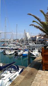 a bunch of boats docked in a harbor at STUDIO ENTRE PLAGE ET PORT in Les Sables-d'Olonne