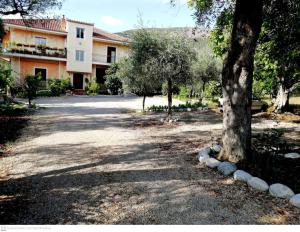 a tree sitting in the middle of a driveway at L'Oasi in Auletta