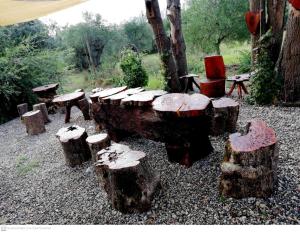 eine Gruppe von Stämmen, Tischen und Stühlen in einem Hof in der Unterkunft L'Oasi in Auletta