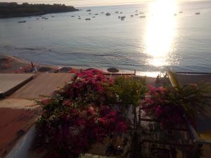 a view of a body of water with flowers at Buganvilla Sea View apts in Agia Pelagia