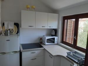 Kuchyň nebo kuchyňský kout v ubytování Apartmani Pilon