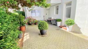 Zahrada ubytování Villa Bergfried