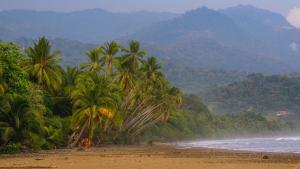 a beach with palm trees and the ocean and mountains at Hotel Villas Rio Mar in Dominical