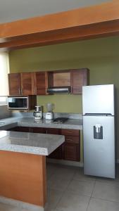 布塞里亞斯的住宿－Banderas Suites，厨房配有白色冰箱和木制橱柜。
