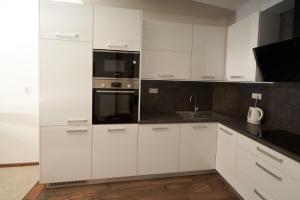 Kuchyňa alebo kuchynka v ubytovaní Apartman A&M