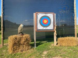 ein Vogel, der auf einem Heuhaufen neben einem Ziel sitzt in der Unterkunft Jaunbirzes in Vecsaule