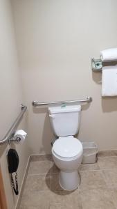 a white toilet sitting next to a white trash can at Cobblestone Inn & Suites - Lake View in Lake View