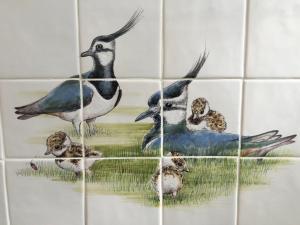 
a series of pictures of birds on a wall at Hotel Pension 't Huys Grol in Renesse
