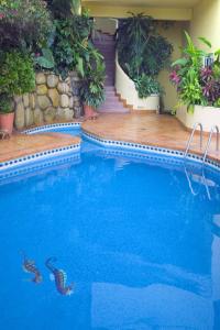 The swimming pool at or close to Casa Isabel a Boutique Hilltop Inn