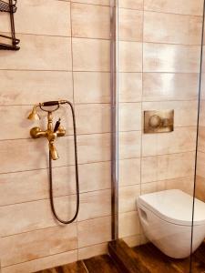 a bathroom with a shower and a toilet at Seaside Villa Eleni in Chorefto +34 photos