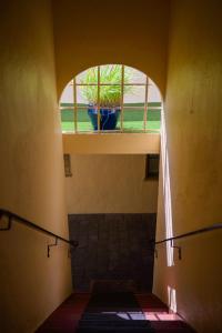 a hallway with a window and a potted plant in a pot at Marina Motel in San Francisco