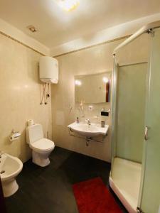 La salle de bains est pourvue de toilettes, d'un lavabo et d'une douche. dans l'établissement Amazing view of Independence square, à Kiev