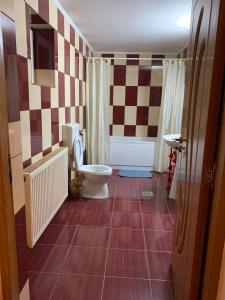 uma casa de banho com um WC e um lavatório em Casa Madalina em Săpînţa