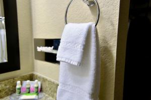 a towel hanging on the side of a bathroom wall at Cobblestone Inn & Suites - Lake View in Lake View