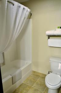 a white toilet sitting next to a bath tub at Cobblestone Inn & Suites - Lake View in Lake View