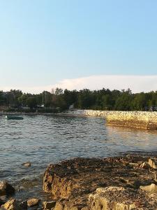 une rivière avec un bateau dans l'eau dans l'établissement Apartments Eliva, à Umag