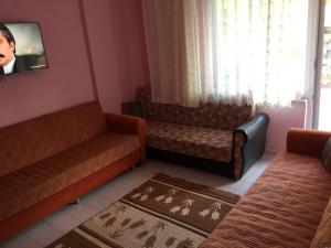 a living room with two couches and a tv at Denize 20 adım full eşyalı daire in Tekirdağ