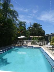 een groot zwembad met blauw water in een tuin bij Gorgeous Beachy Chic Condo in Key Biscayne in Miami