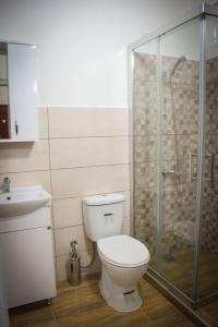 a bathroom with a toilet and a glass shower at Vila Oska in Vinica