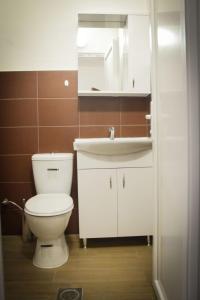 La salle de bains est pourvue de toilettes blanches et d'un lavabo. dans l'établissement Vila Oska, à Vinica