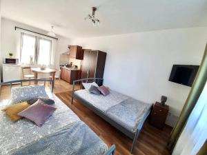 a bedroom with two beds and a television in it at Dom Wczasowy u Marci in Tymień