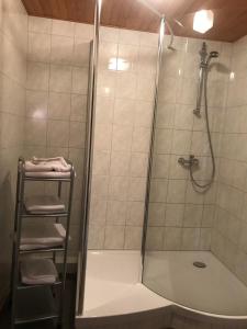 a bathroom with a shower with a ladder in it at Gîte et chambres d'hôtes Les Framboises in Katzenthal