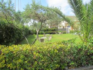 un cortile con tavolo, sedie e alberi di Hotel Villa Colombo a Lido di Camaiore