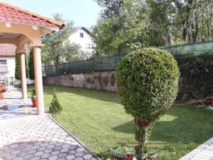 a small bush in the yard of a house at Apartments Tutto Bene in Jajce