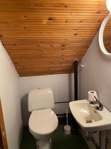 a small bathroom with a toilet and a sink at Bestemorhuset in Kariel