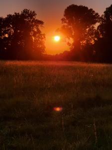 Afbeelding uit fotogalerij van Villa Mainardi Agriturismo in Camino al Tagliamento