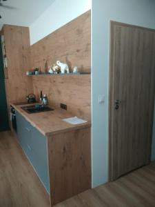 een keuken met een aanrecht, een wastafel en een deur bij Pojezierze wałeckie kusi atrakcjami in Wałcz