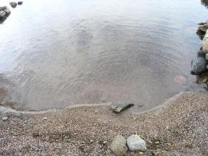 un cuerpo de agua con rocas en la arena en Holiday Home Saukko by Interhome, en Pietolansaari