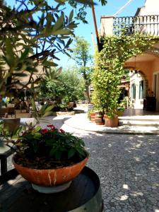 a flower pot sitting on a table next to a street at Villa Andor in Ankaran