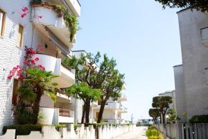 een gebouw met bomen aan de straatkant bij Grande appartamento sul lungomare a Villa Rosa (TE) in Alba Adriatica