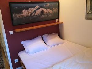 a room with a bed with a flat screen tv above it at Tourmalet Home in Luz-Saint-Sauveur